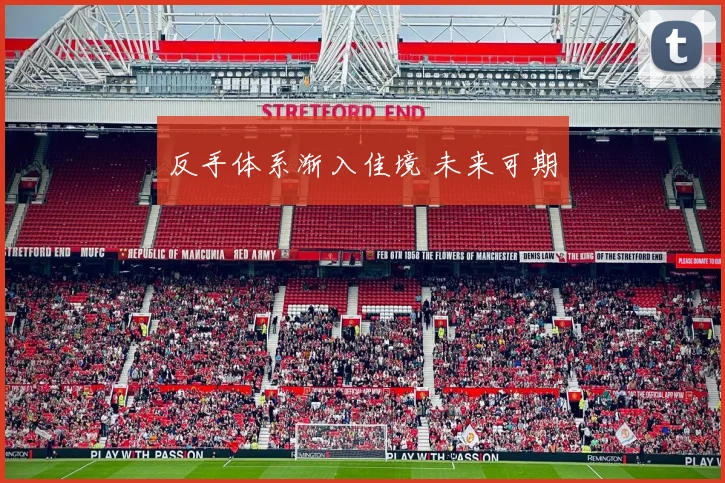 反手体系渐入佳境 未来可期