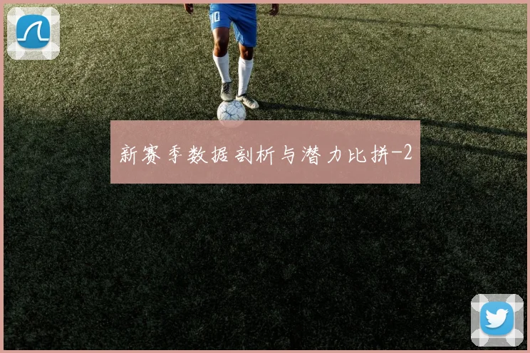 新赛季数据剖析与潜力比拼