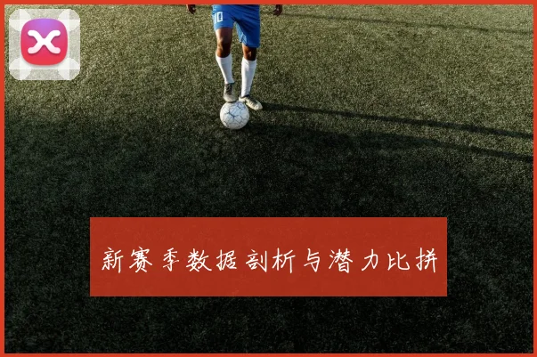 新赛季数据剖析与潜力比拼